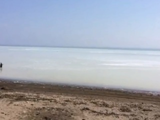 На Сахалине море побелело от наплыва сельди