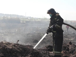 В Забайкалье на тушение отправили парашютистов-пожарных