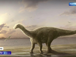 Научно доказано, что 165 миллионов лет назад на территории Подмосковья жили динозавры