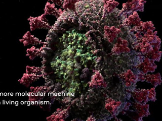 Дизайнеры создали 3D-модель коронавируса