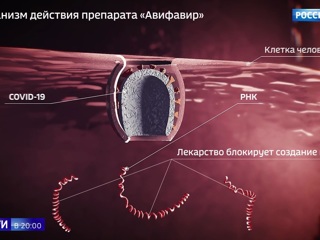 В России выпущен первый и самый мощный препарат от COVID-19