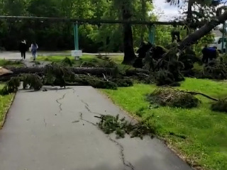 Срывал крыши и валил деревья: мощный ураган бушевал в Кемеровской области