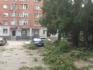В Новосибирске ветер валил деревья, переворачивал остановки и срывал крыши