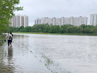 После сильного дождя в столичном Алтуфьеве разлился пруд