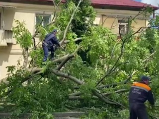 В Северной Осетии в ликвидации последствий урагана помогает аэромобильная группа спасателей