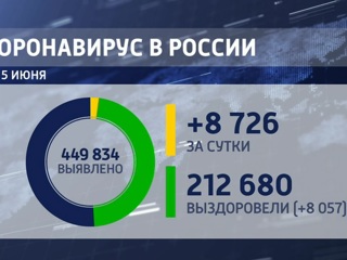 COVID-19 в России: за сутки заболели 8 726 человек