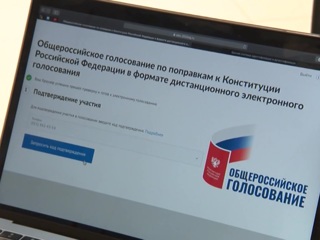 Выбор - за пару кликов: на плебисците по Конституции завершилось онлайн-голосование