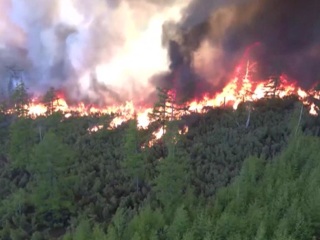 Маршрут сквозь дымовую завесу: как регионы борются с лесными пожарами