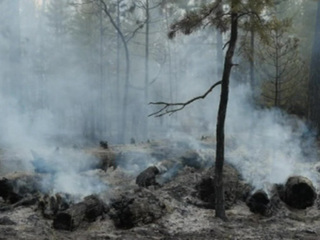 В Якутии бушуют 137 природных пожаров
