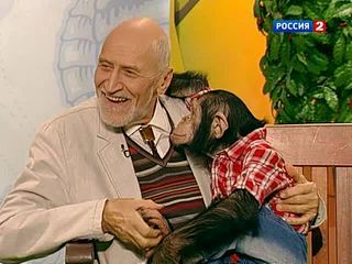 В мире животных. Морские огурцы