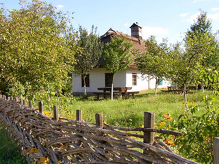 Язь против еды. Украина