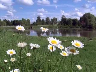 графский пруд коломяги рыбалка графский бочаг коломяги рыбалка