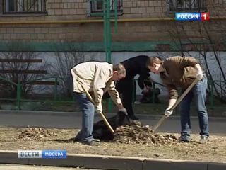 Коммунальные работники вместе с москвичами вышли на субботник