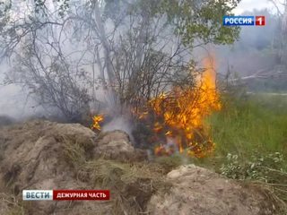 Пожары в Тверской области: люди надеются на спасительный дождь