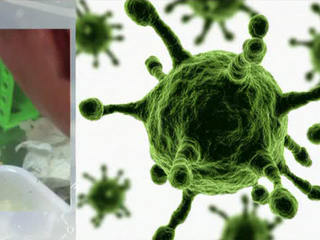 Вопрос науки. Вирус Эбола. Мировая угроза?