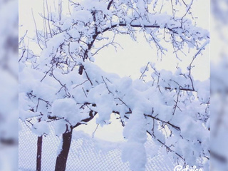 В Карачаево-Черкесии неожиданно выпал мокрый снег