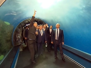 Путин в компании вице-премьера КНР и Стивена Сигала осмотрел океанариум на острове Русский