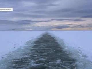 Ритм Арктики. Специальный репортаж Владимира Нестерова